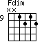 Fdim=NN1212_9