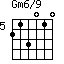 Gm6/9=213010_5